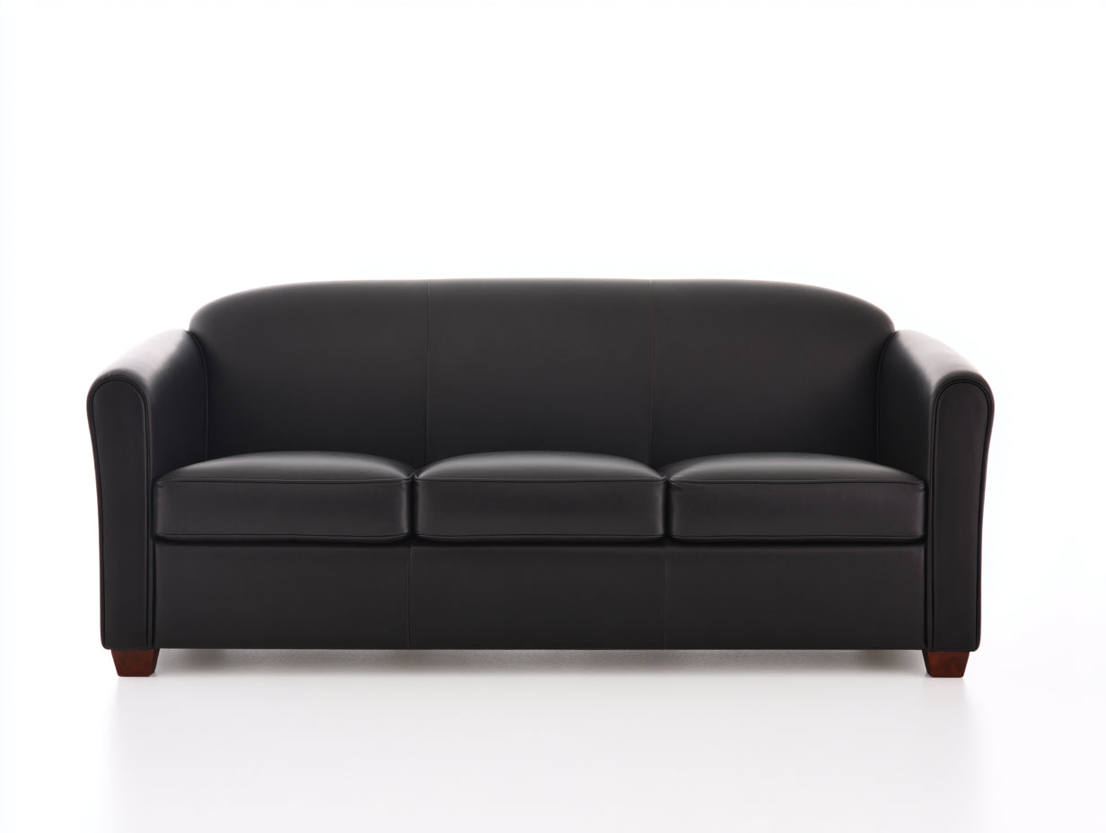 Canapé 3 places en cuir noir 210x95x95 cm style moderne salon élégant confortable